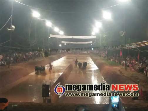 kambala