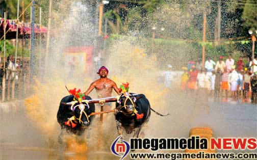 kambala