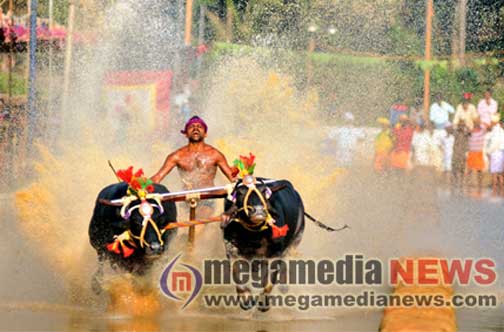 Kambala