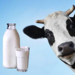 milk price