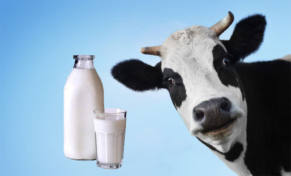 milk price 