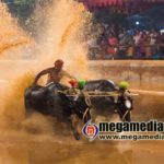 kambala