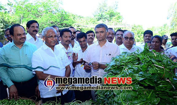 organic and millets stall