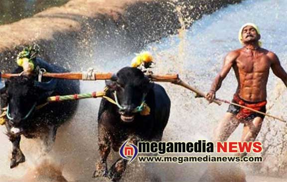 Kambala