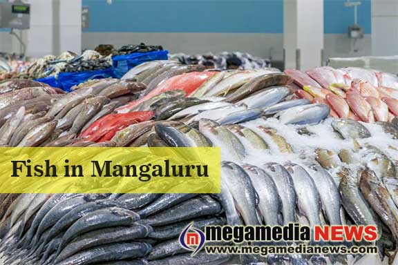 Mangaluru fish 