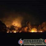 Miscreants set fire at trees near Uppinangady