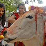 cow slaughter Bill