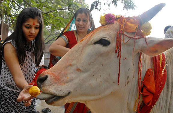 cow slaughter Bill