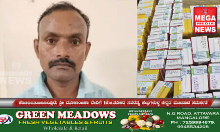 Mega Media News June12
