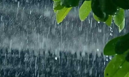 Heavy-Rain