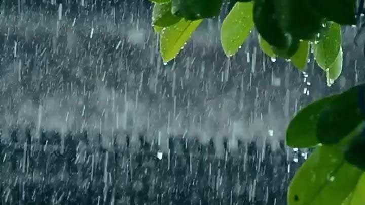 Heavy-Rain