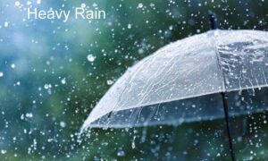 Rain