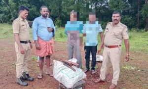 Karkala-Sandalwood