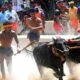 Kambala-Race