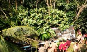 Sabharimala- pilgrims