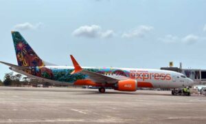 Air-india-color-plane