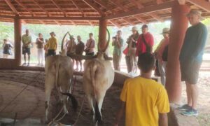 international-tourists