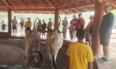 international-tourists