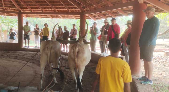 international-tourists