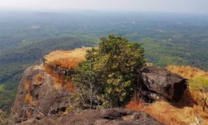 Gadaikallu