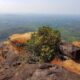 Gadaikallu