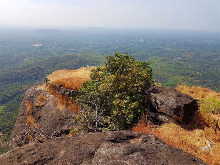 Gadaikallu