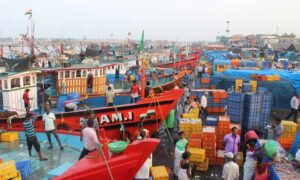 Trawl-Fishing