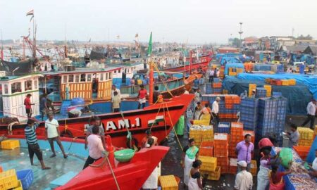 Trawl-Fishing