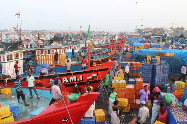 Trawl-Fishing