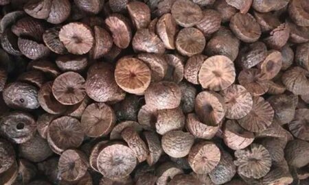 Arecanut-Warning