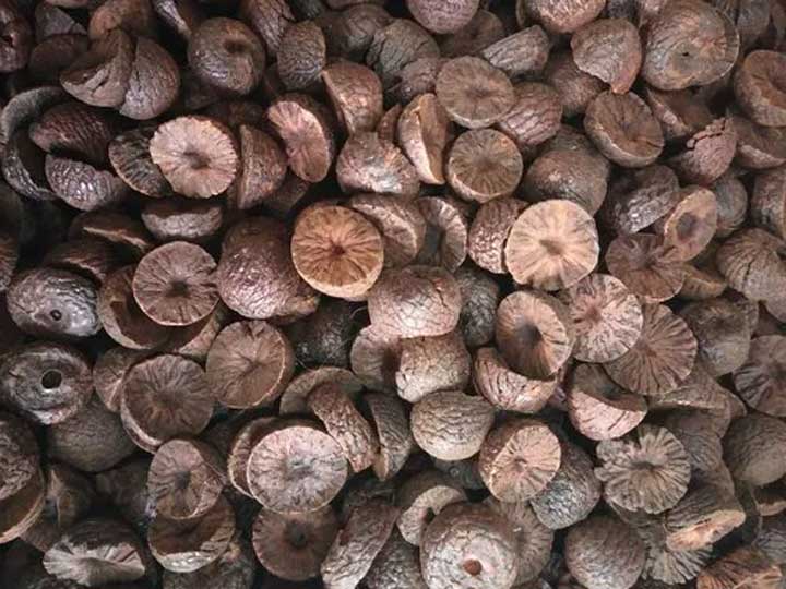 Arecanut-Warning
