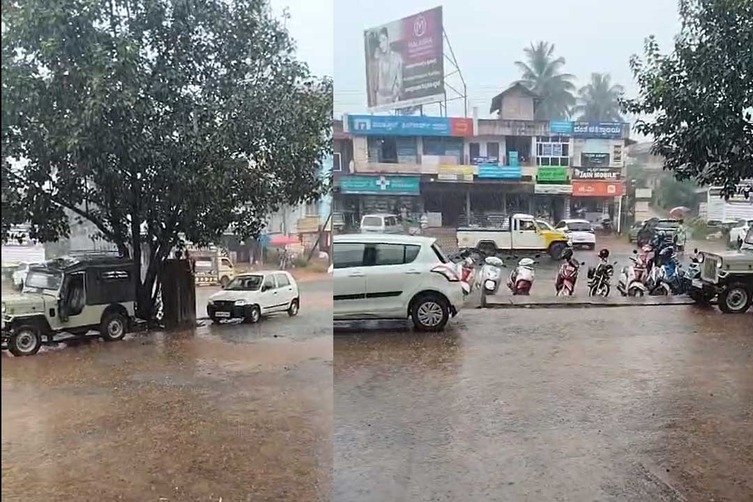 Rain-Belthangady